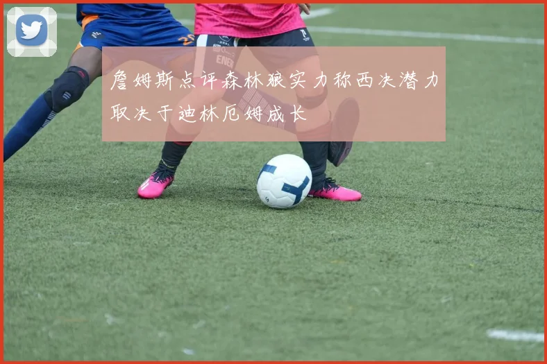 詹姆斯点评森林狼实力称西决潜力取决于迪林厄姆成长