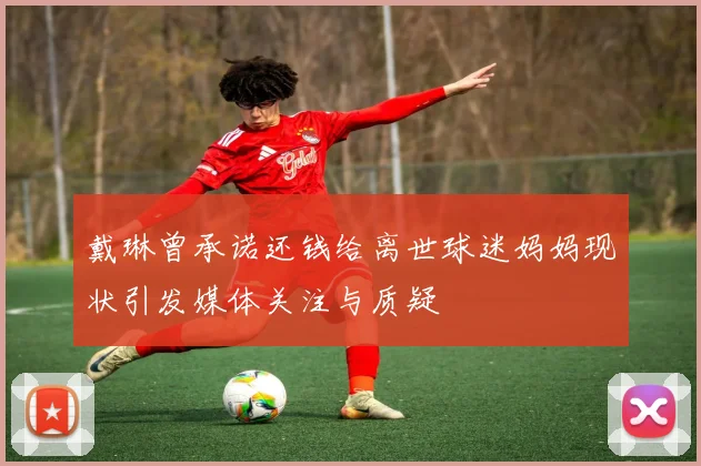 戴琳曾承诺还钱给离世球迷妈妈现状引发媒体关注与质疑