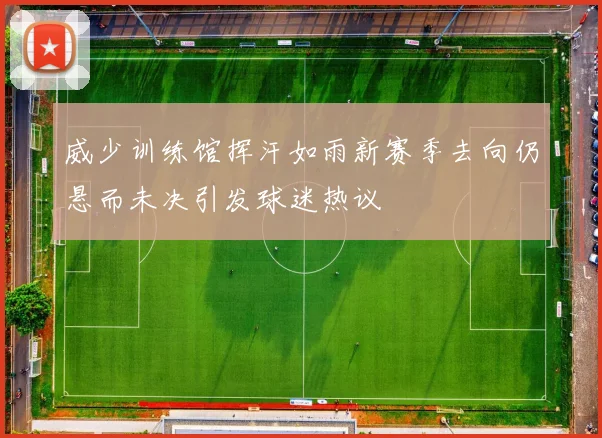 威少训练馆挥汗如雨新赛季去向仍悬而未决引发球迷热议