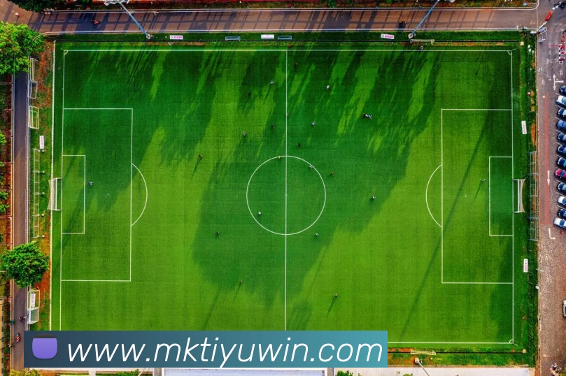 MK体育APP 封面图